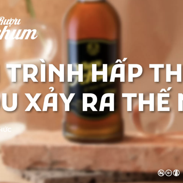 qua-trinh-hap-thu-ruou-nhu-the-nao